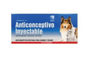 ANTICONCEPTIVO CANINO 