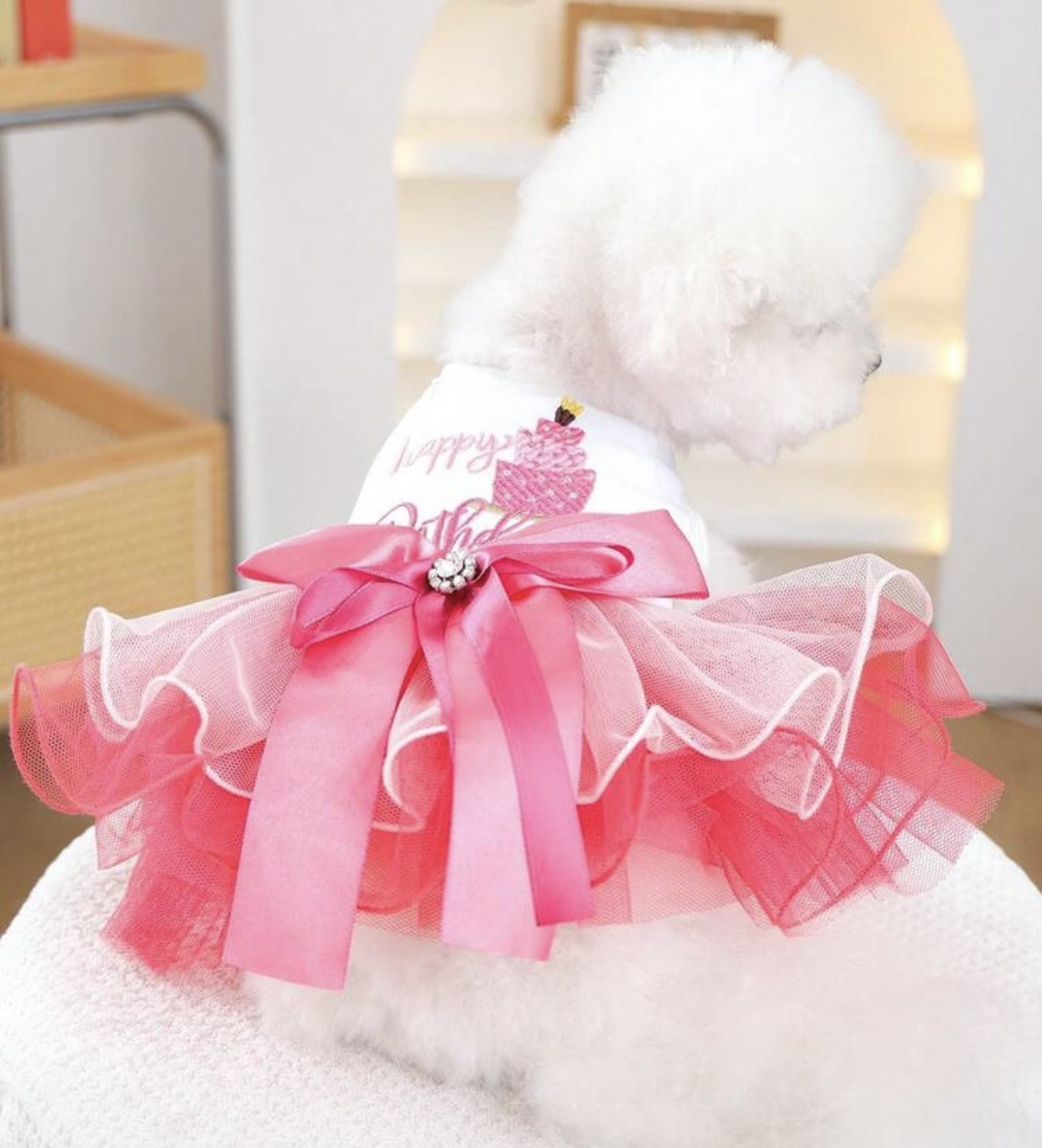 VESTIDO TUTÚ PARA PERRO "HAPPY BIRTHDAY”