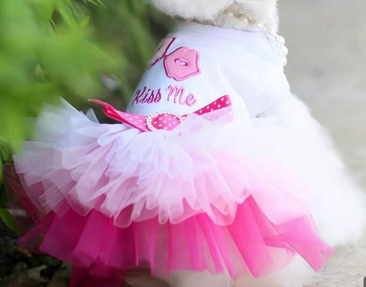 VESTIDO TUTU "KISS ME" EDICIÓN PRINCESA 