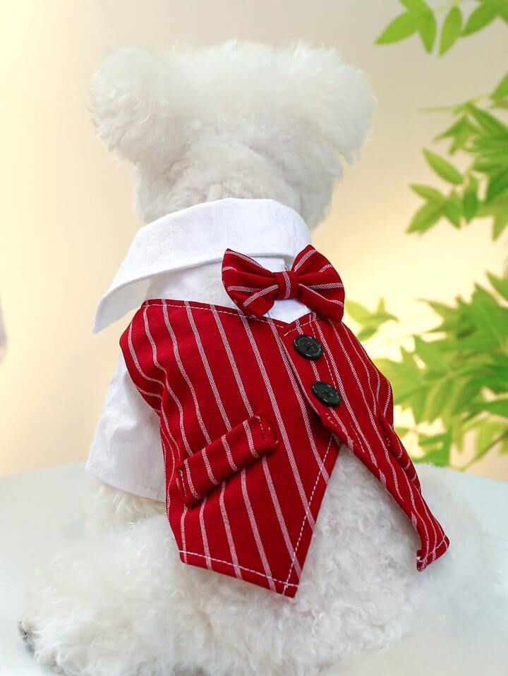 TRAJE FORMAL PARA PERRO     - ESTILO ELEGANTE