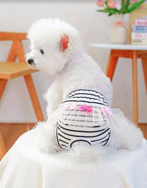 CALZON PARA PERRO "CHIC CON CHONGUITOS"