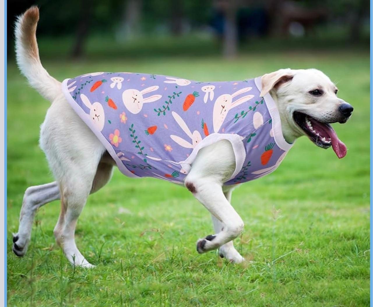 BODY PROTECTOR PARA PERRO – DISEÑO CONEJITOS