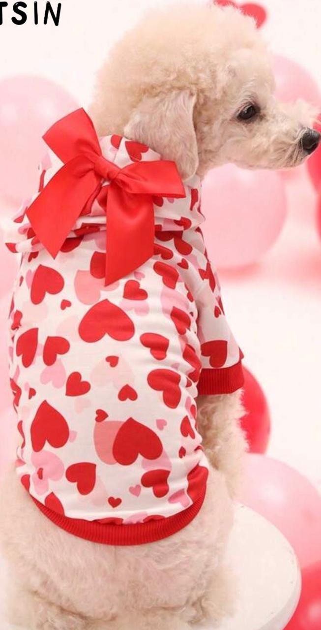 SUDADERA PARA PERRO – DISEÑO CORAZONES