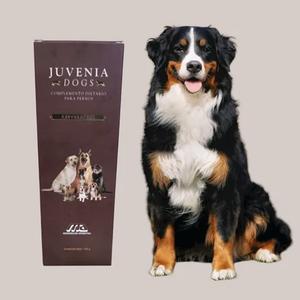 JUVENIA DOGS