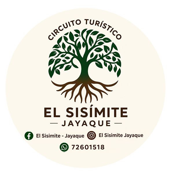 URL: https://media.sube.la/media/29046/28884/hWqTPeqItG.jpeg