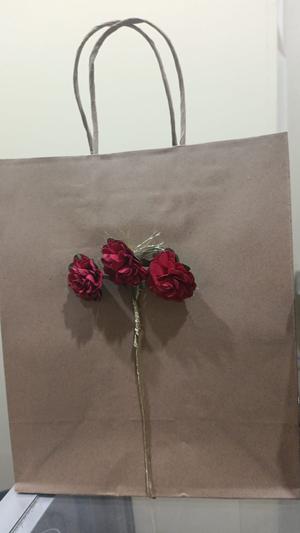 BOLSA KRAFT