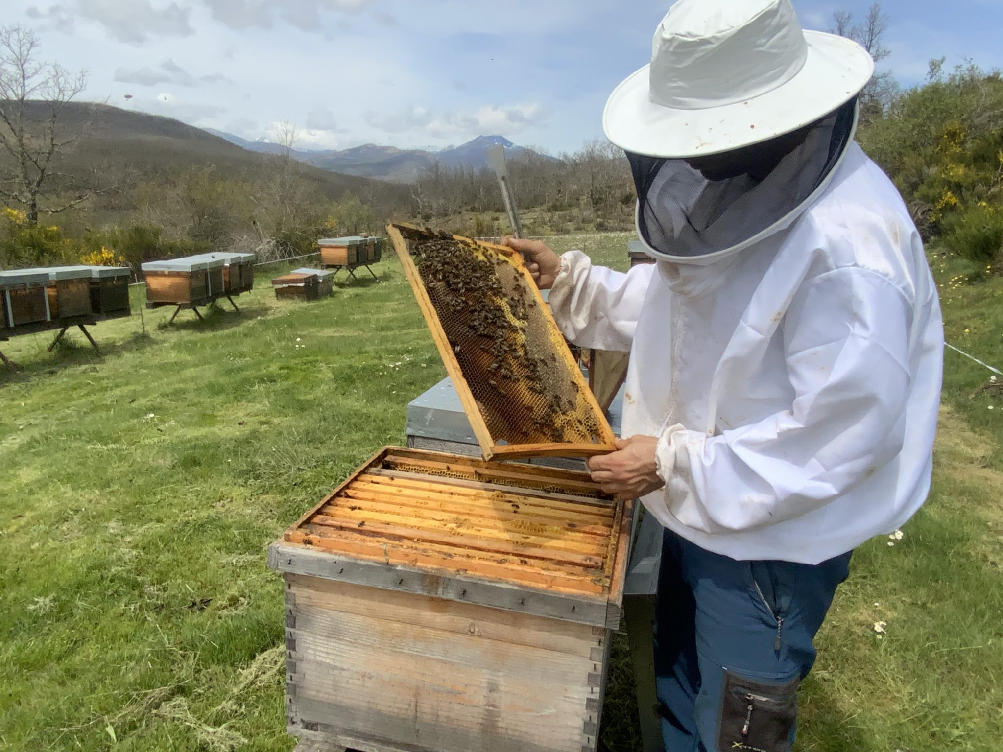 URL: https://media.sube.la/media/29329/29167/7PHrlR8Cw6.jpg