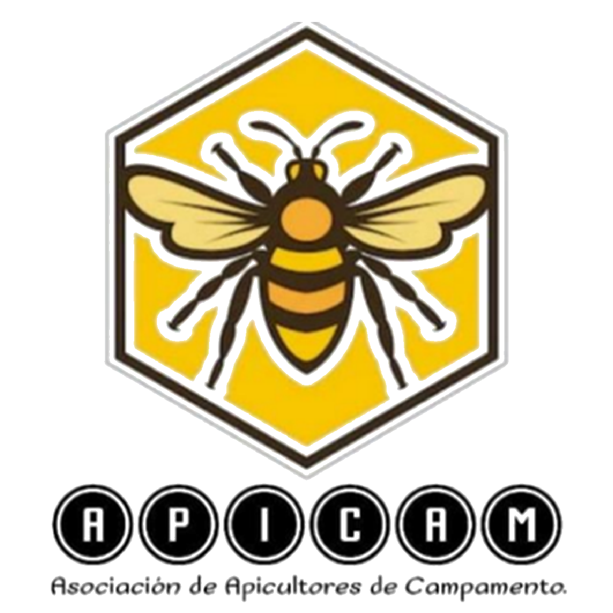 APICAM