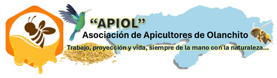 URL: https://media.sube.la/media/29336/29174/MJLFWojpDY.png