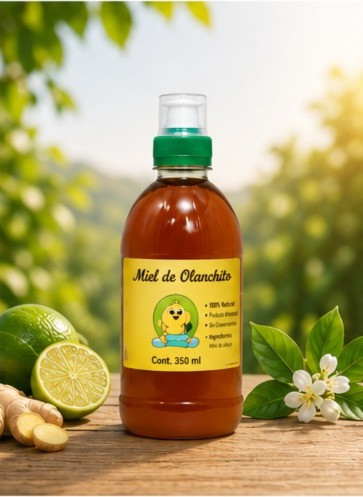 MIEL ABEJA 500 ml 