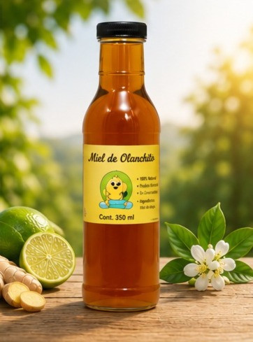 MIEL ABEJA ENVACE DE VIDRIO 450 ml 
