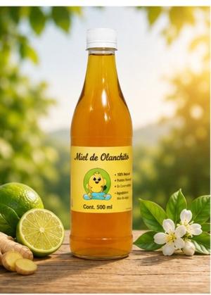 MIEL ABEJA  ENVASE DE VIDRIO 450 ml 