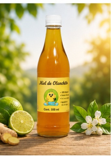 MIEL ABEJA  ENVASE DE VIDRIO 450 ml 