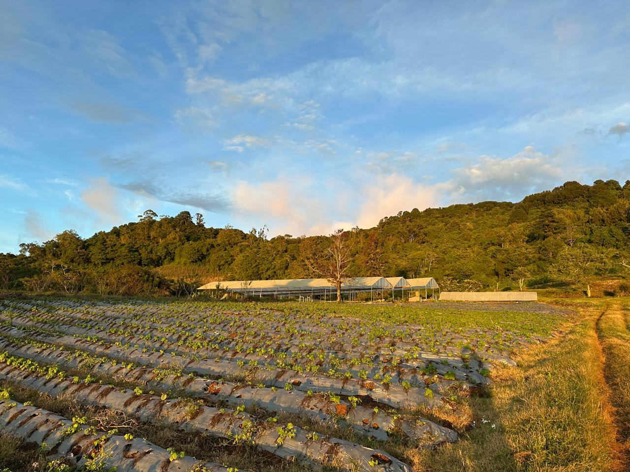 URL: https://media.sube.la/media/29624/29462/5Q7Vm6yNV8.jpg