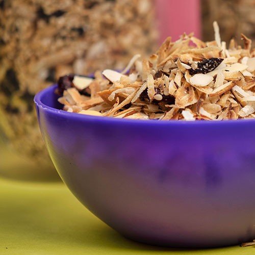 Muesli Arándano