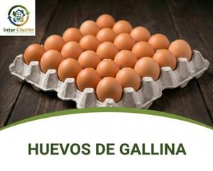 Cartón de 30  Huevos Frescos 