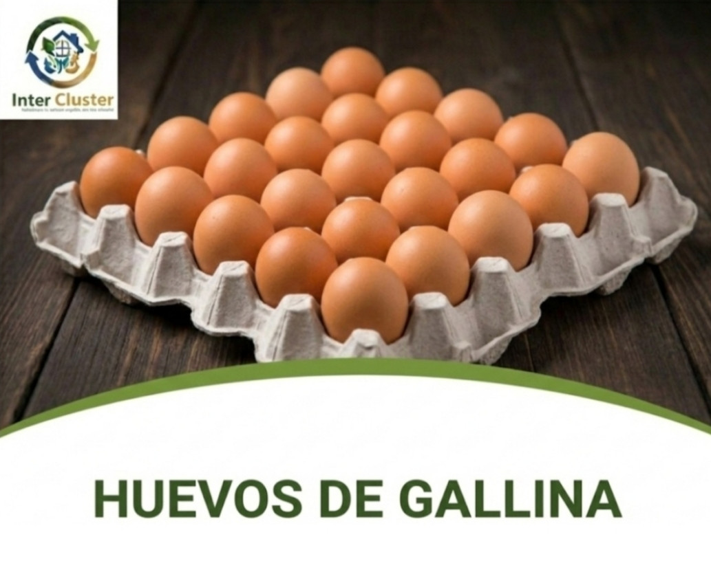 Cartón de 30  Huevos Frescos 