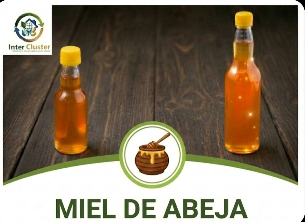Promoción!!!! Miel de Abeja ( 1 Botella)