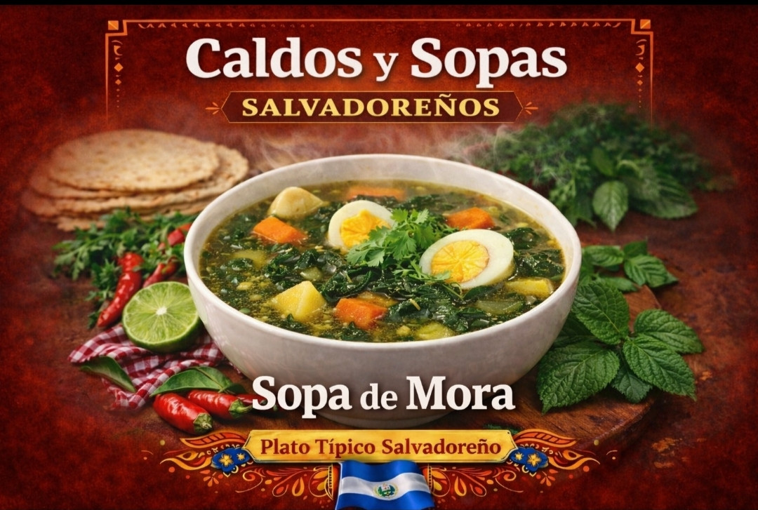 SOPA DE MORA