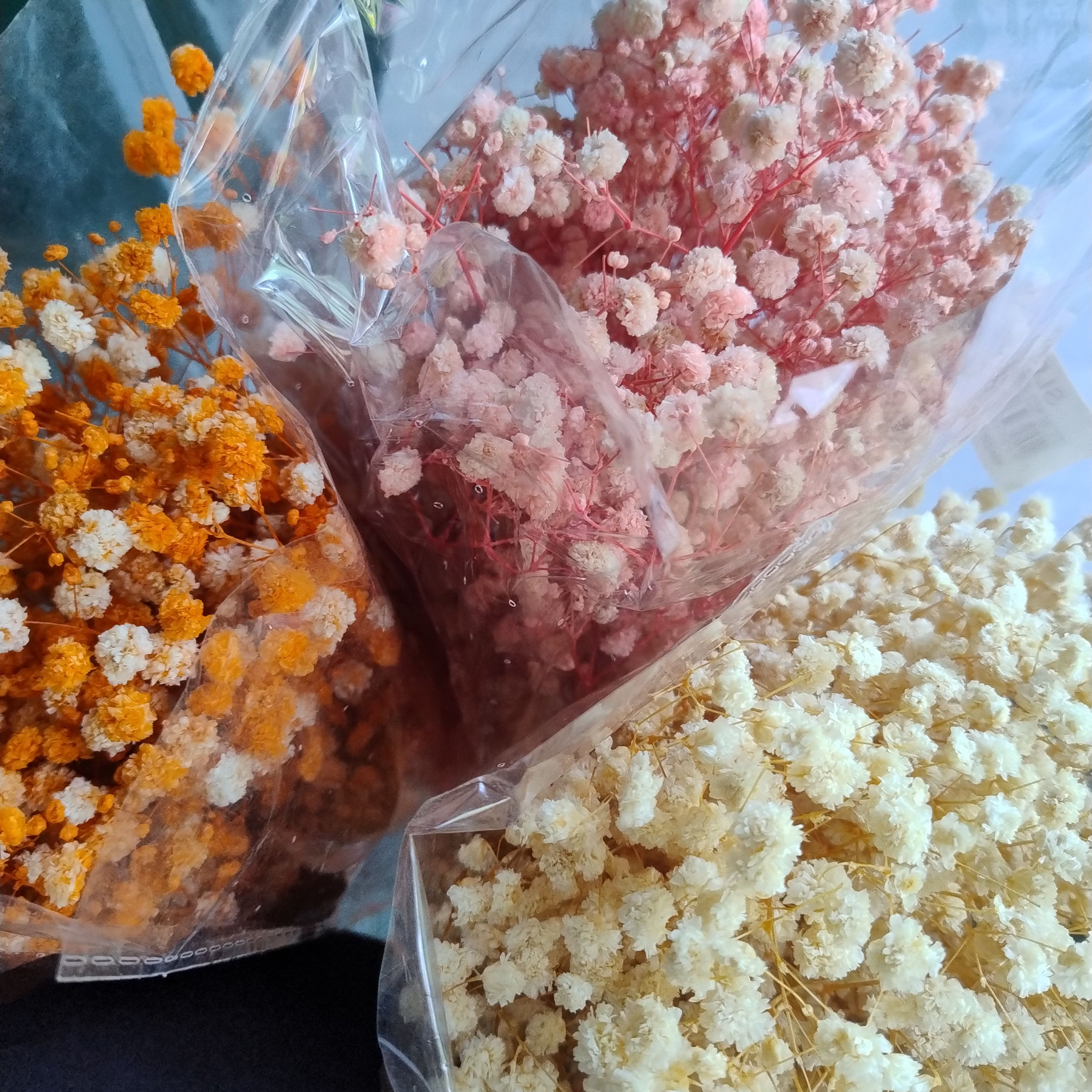 Baby breath preservado 