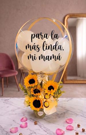 Reflejos de Luz