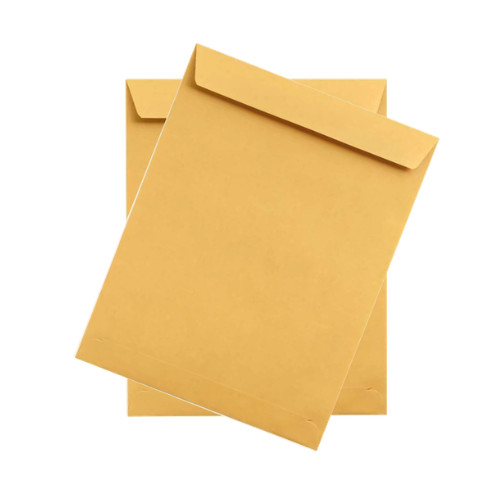 Bolsa manila 9x12"