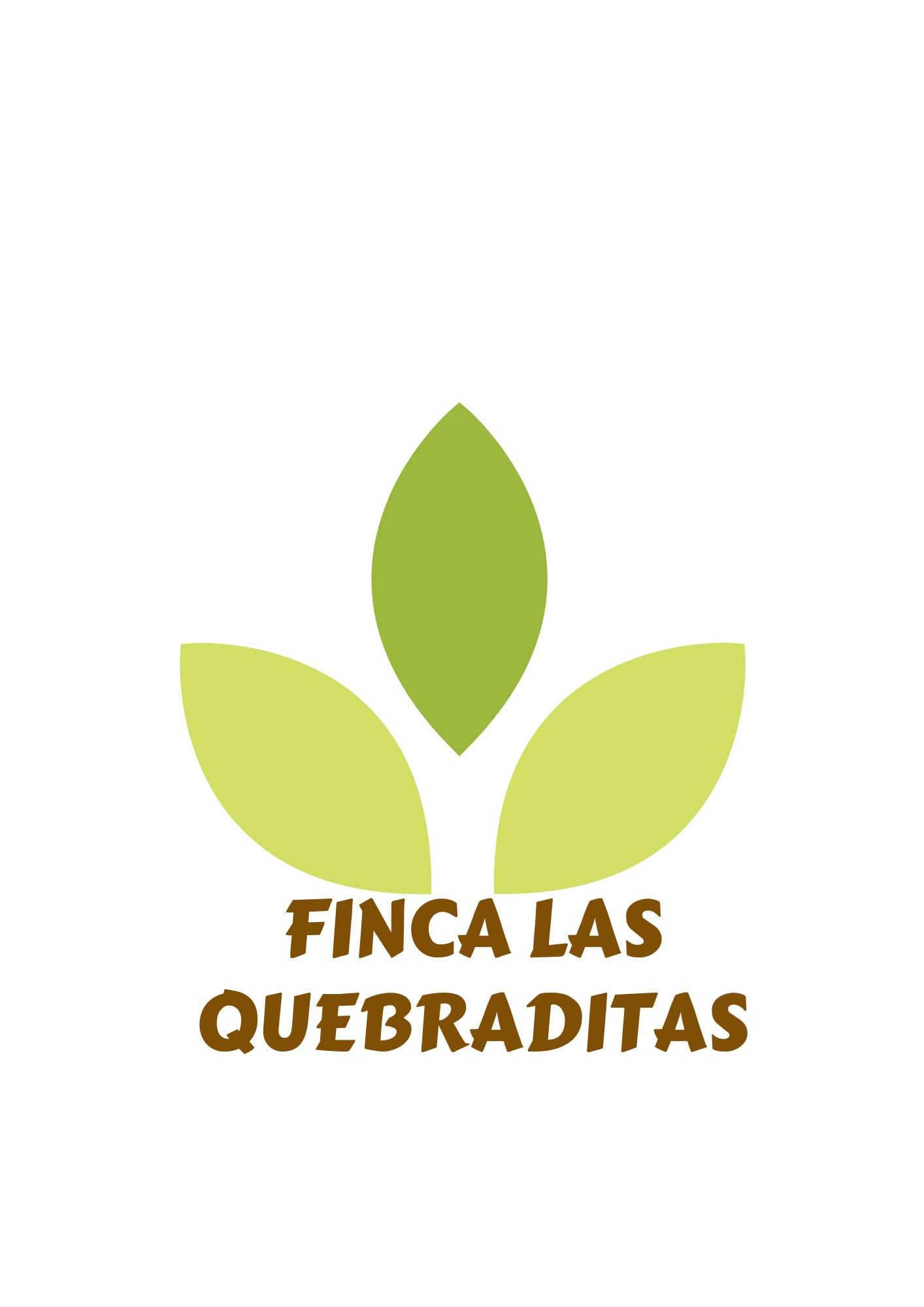 Bambú vivo, en Terrón +2 m (PLUS)