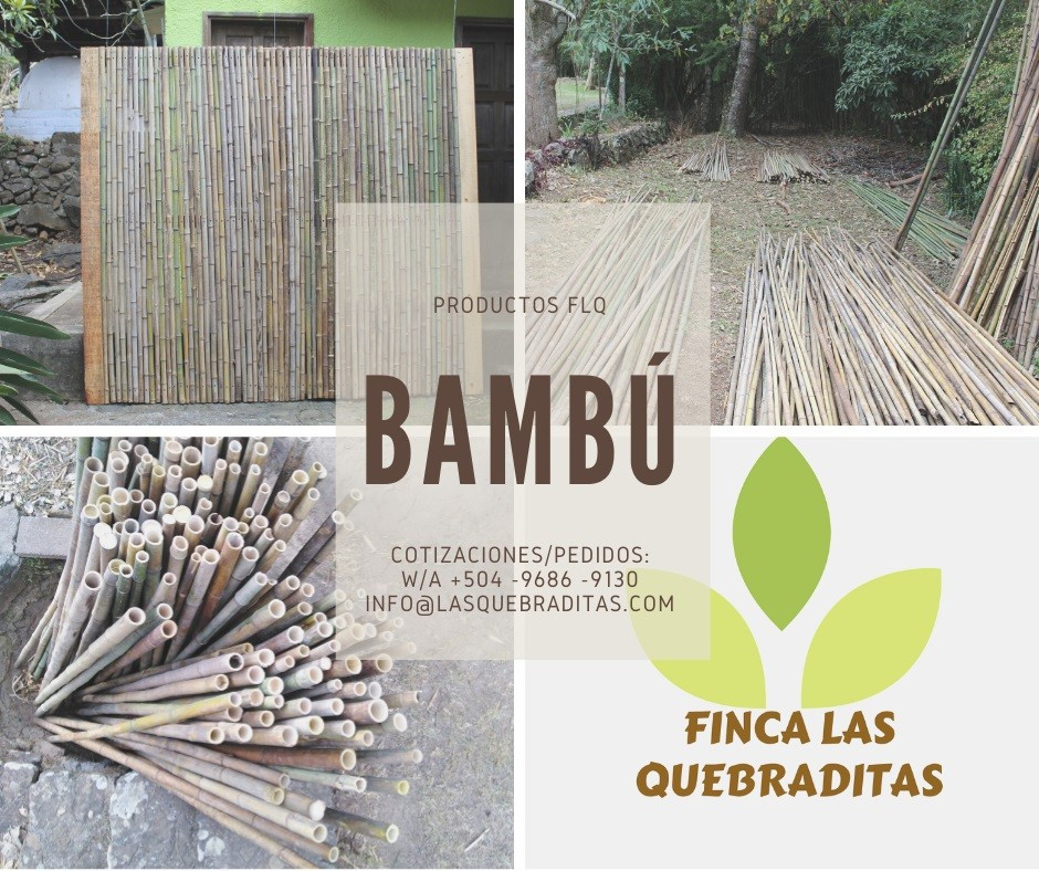 Vara de Bambú 2.20 m de largo