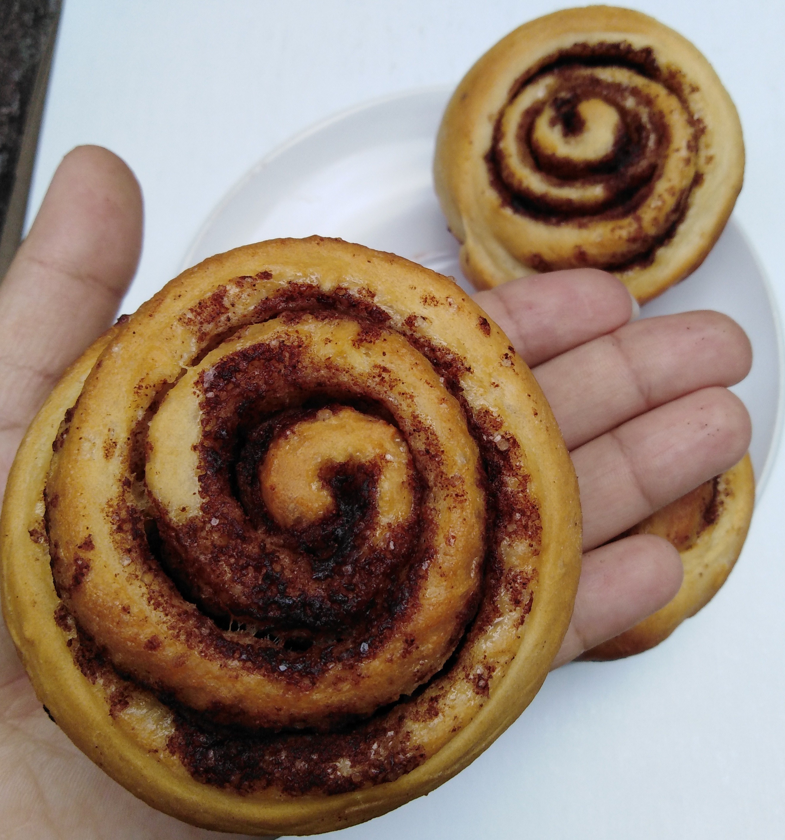 URL: https://media.sube.la/media/7175/7063/u8MWCHtTDB.jpg