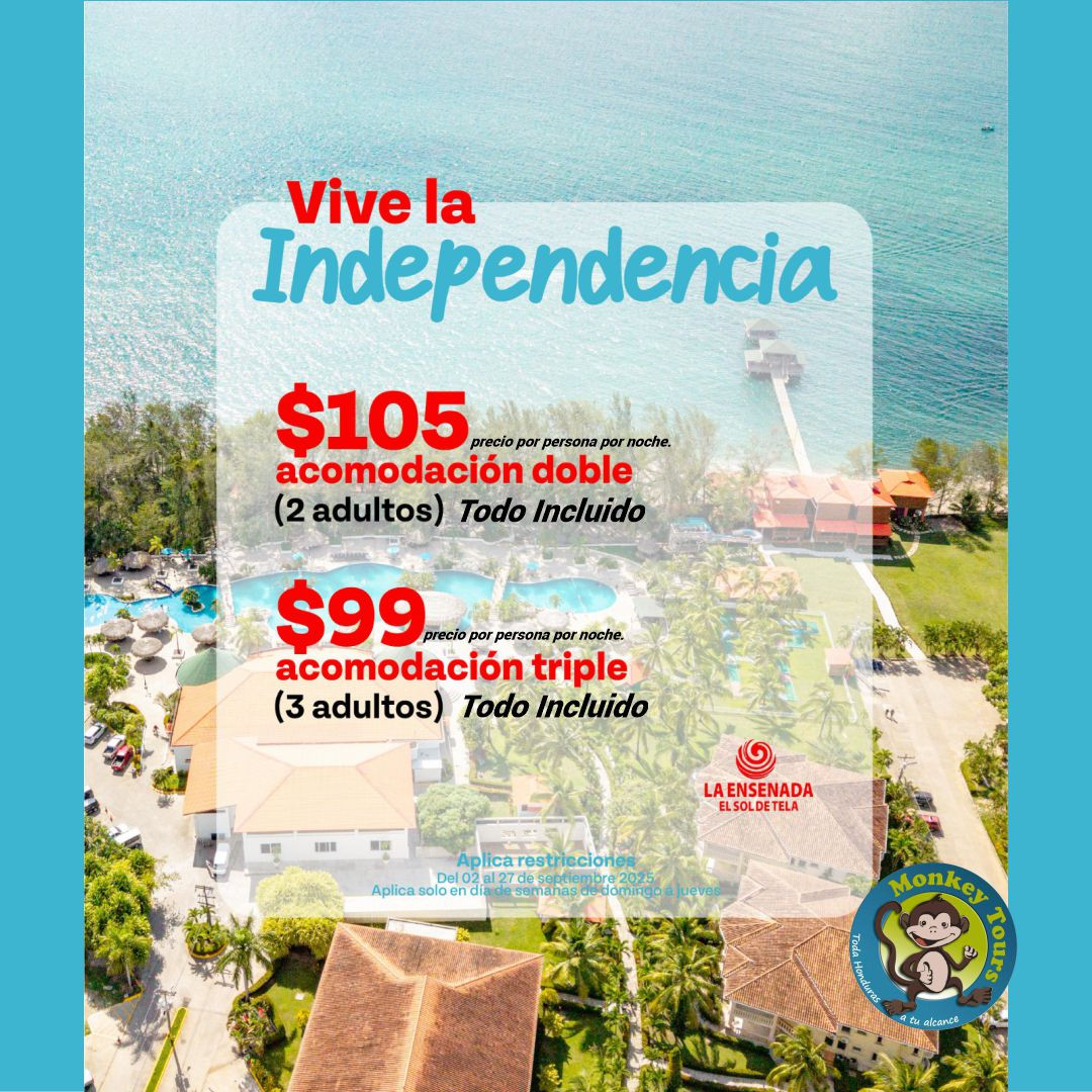 URL: https://media.sube.la/media/8611/8499/4z9KMaQp7S.jpg