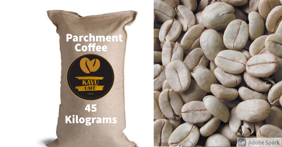Café Pergamino
