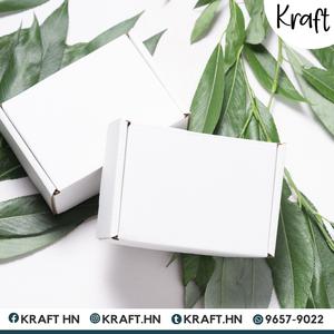 CAJA CORRUGADA 12x9x3 PACK DE 50 UDS