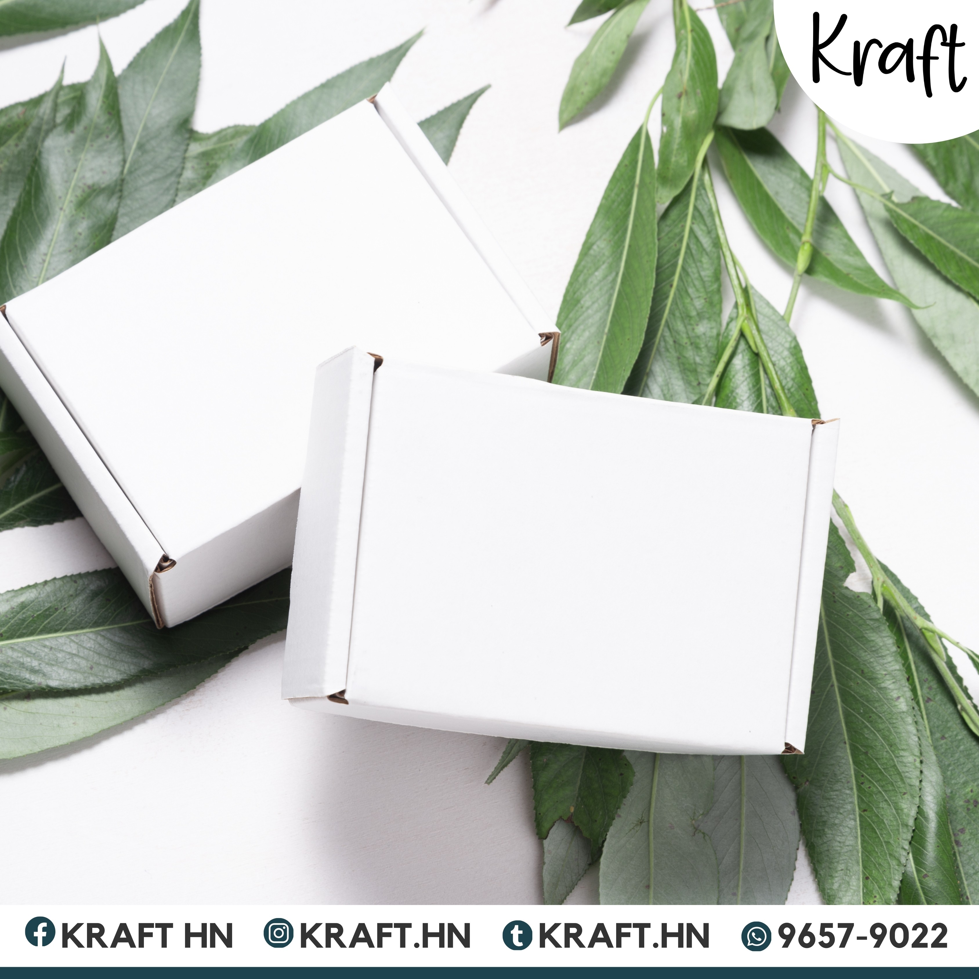 CAJA CORRUGADA 12x9x3 PACK DE 50 UDS