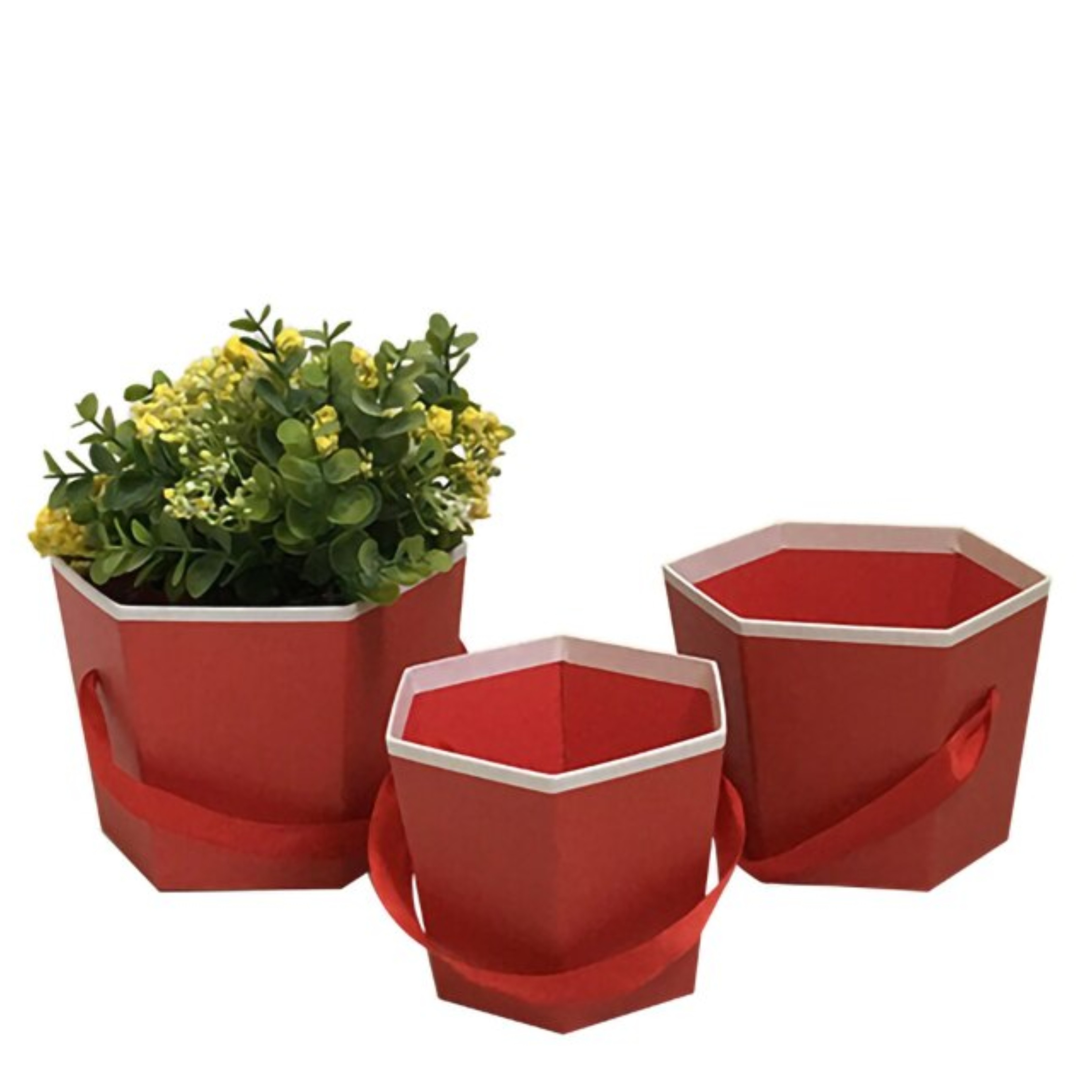 FLOWER BOX HEXAGONAL GRANDE Kraft
