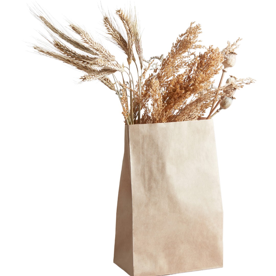 BOLSAS KRAFT #10 (250uds)