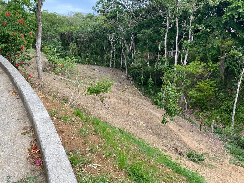 LOT IN WHITE ROCK HILLS, SANDY BAY, ROATAN